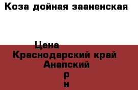 Коза дойная зааненская  › Цена ­ 10 000 - Краснодарский край, Анапский р-н, Красный Курган хутор Животные и растения » Другие животные   